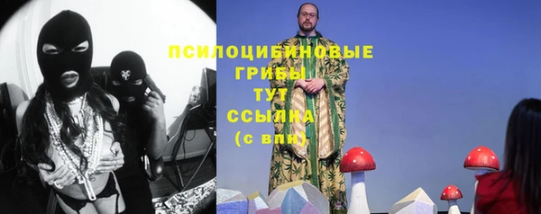 эйфоретик Михайловск