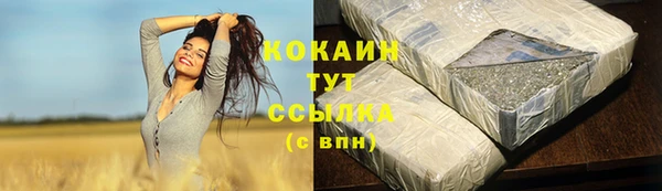 apvp Михайлов