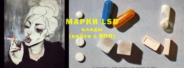 apvp Михайлов