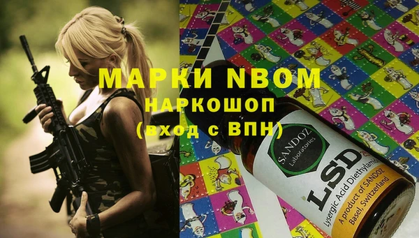 apvp Михайлов