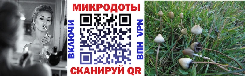 Купить закладки  Тайшет  Галлюциногенные грибы Magic Shrooms 